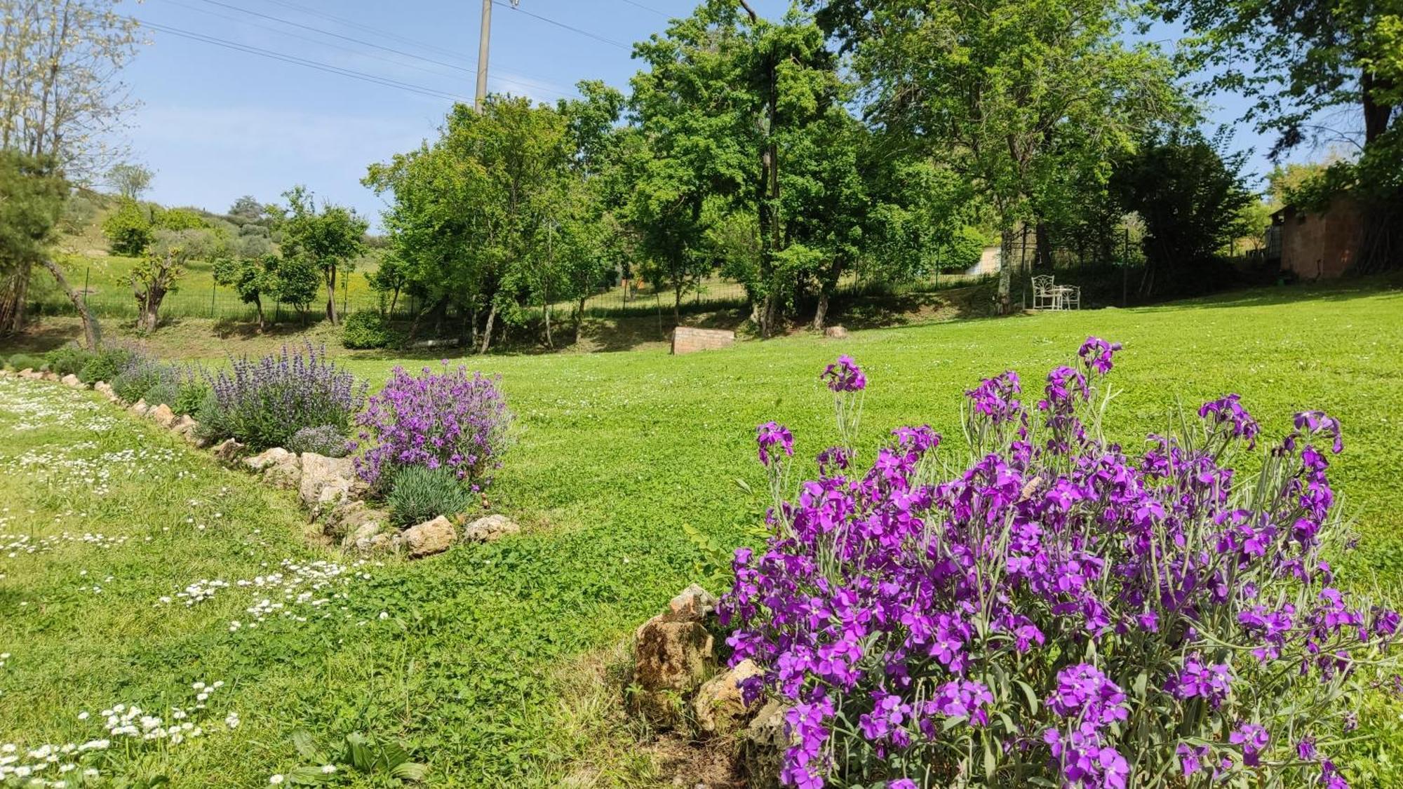 Agriturismo Le Grondaie Сиена Екстериор снимка